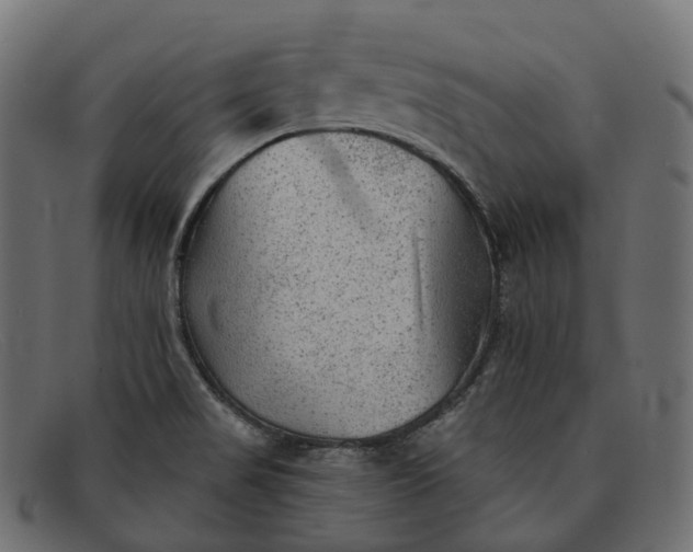 X0000091891517200709191206