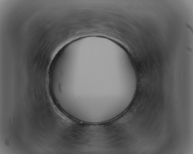 X0000091891518200709191206