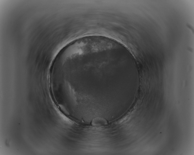 X0000091891519200709191206