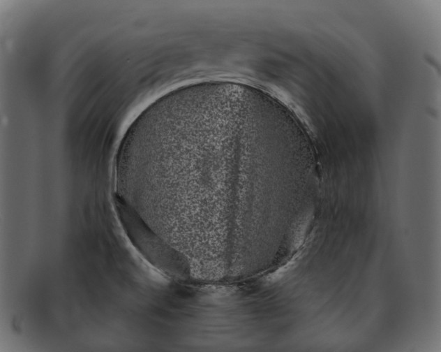 X0000091891520200709191206