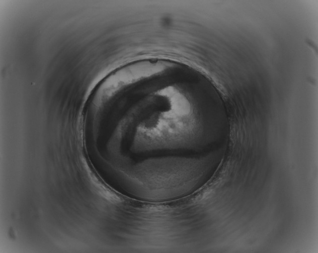 X0000091891522200709191206