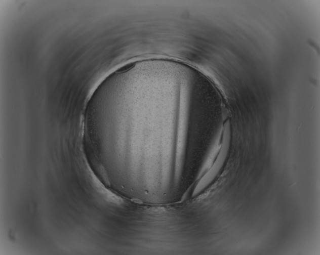 X0000091891524200709191206