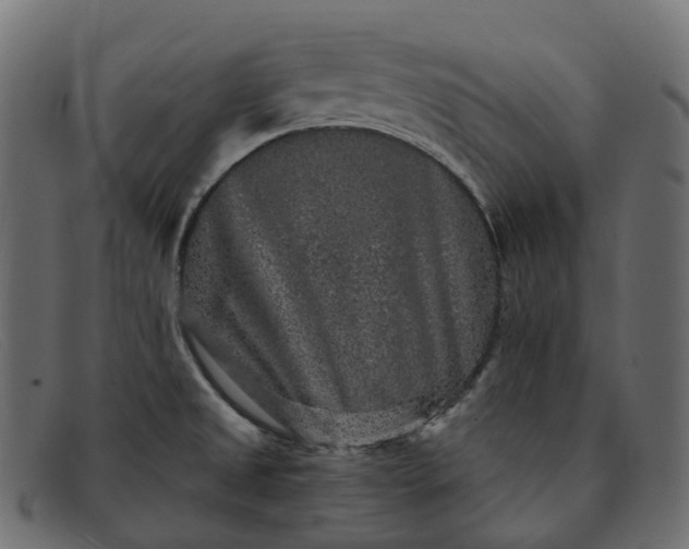 X0000091891525200709191206