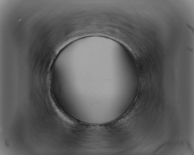 X0000091891526200709191206