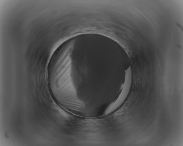 X0000091891527200709191206