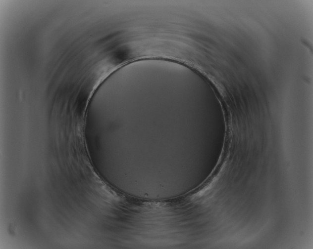 X0000091891529200709191207