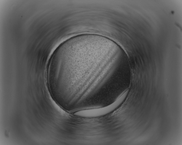 X0000091891531200709191207