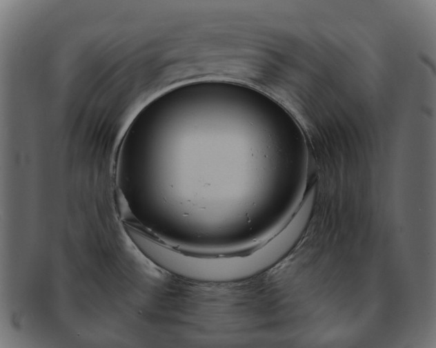 X0000091891532200709191207