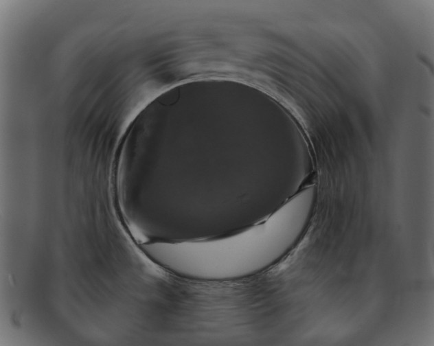 X0000091891533200709191207