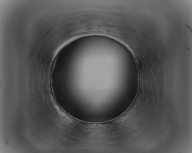 X0000091891534200709191207