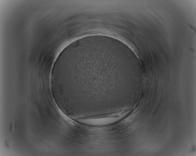 X0000091891535200709191207