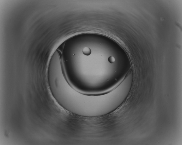 X0000091891536200709191207