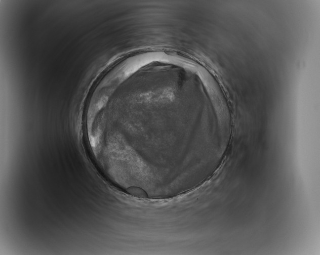 X0000091890002200709261648