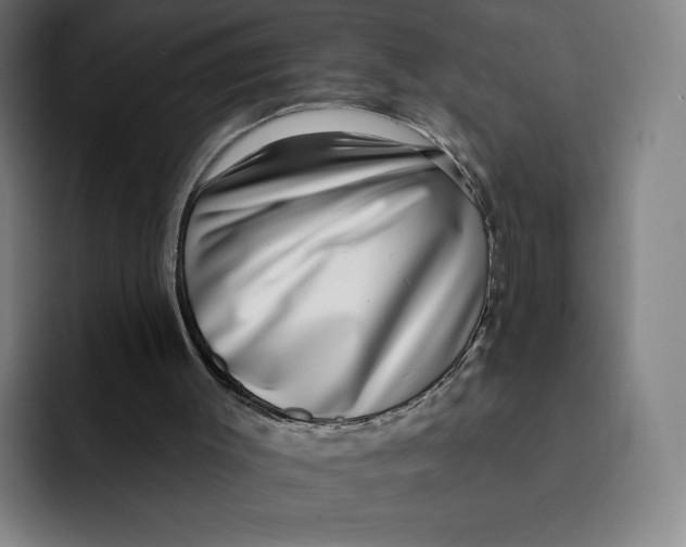 X0000091890003200709261648