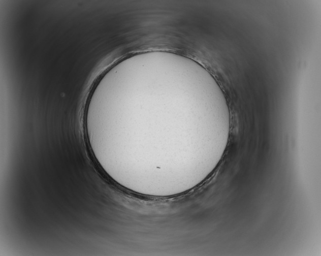 X0000091890004200709261648