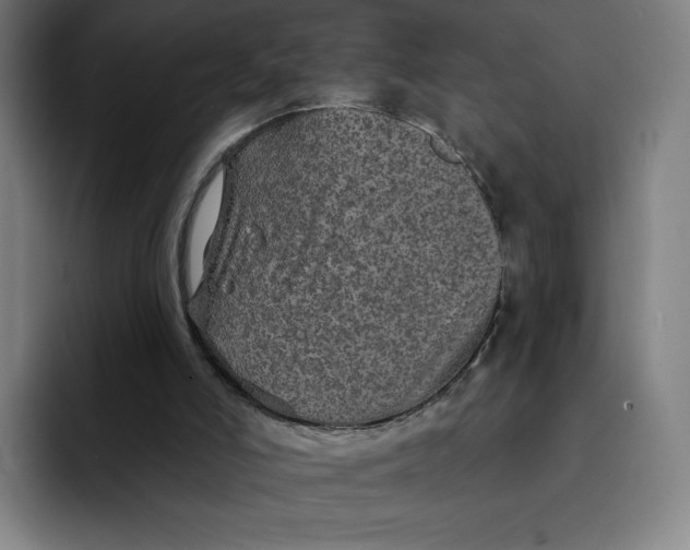 X0000091890006200709261648