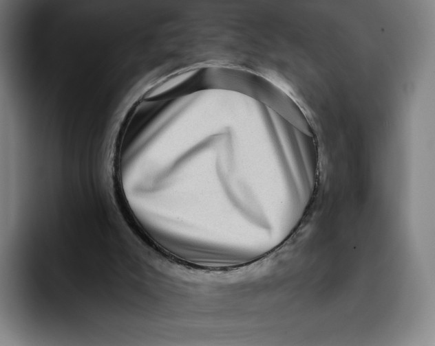 X0000091890007200709261648