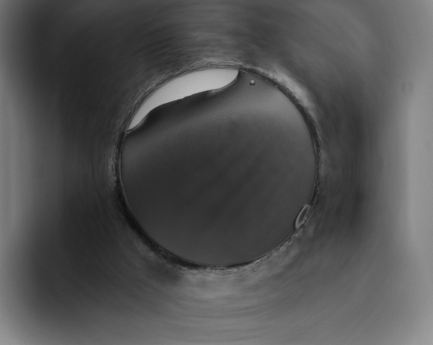 X0000091890009200709261648
