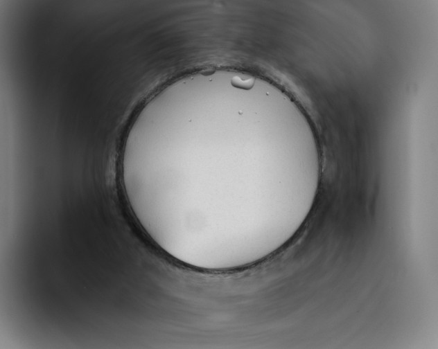 X0000091890010200709261648