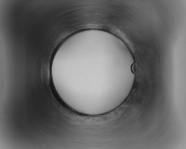 X0000091890011200709261648