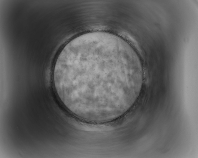 X0000091890012200709261648