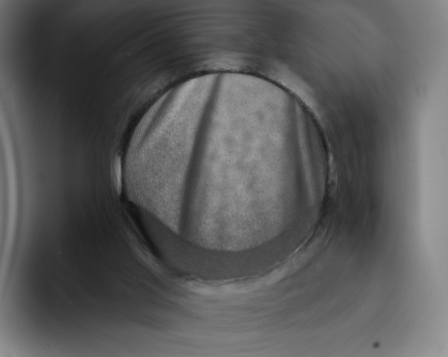 X0000091890013200709261648