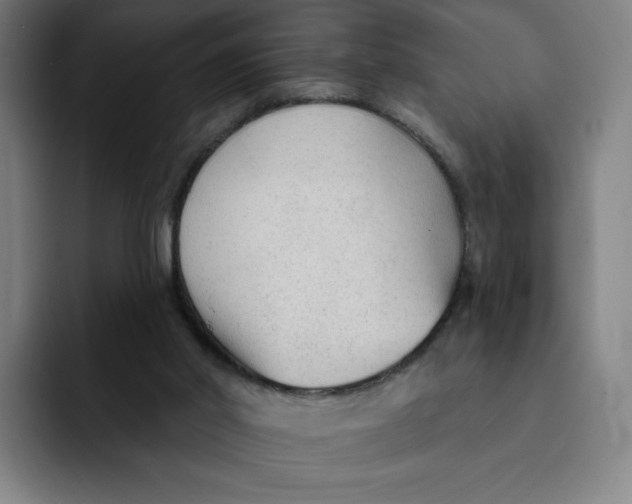 X0000091890014200709261648