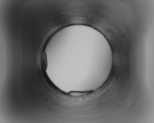X0000091890015200709261648