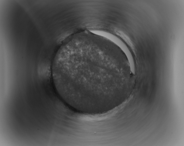 X0000091890017200709261648