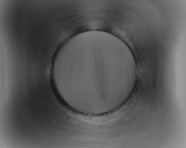 X0000091890018200709261648