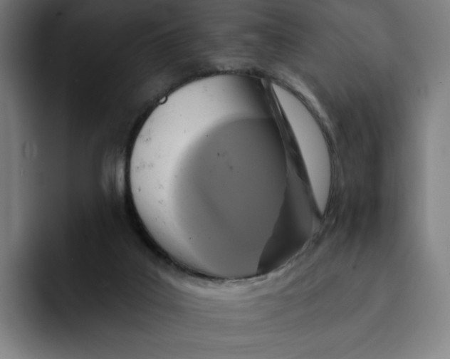X0000091890019200709261648