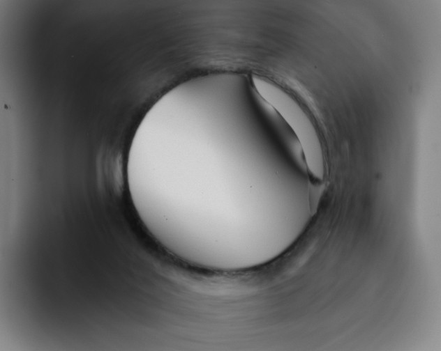 X0000091890020200709261648