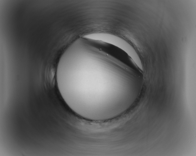 X0000091890022200709261648
