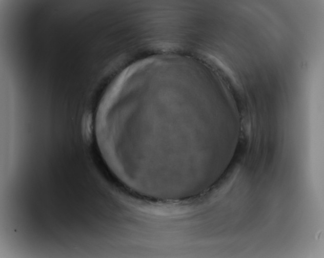 X0000091890024200709261648