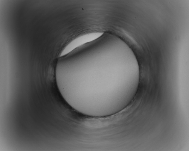 X0000091890025200709261648
