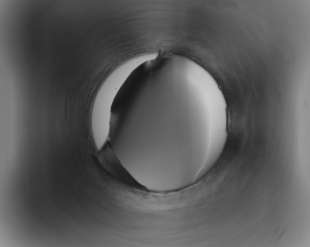 X0000091890027200709261648