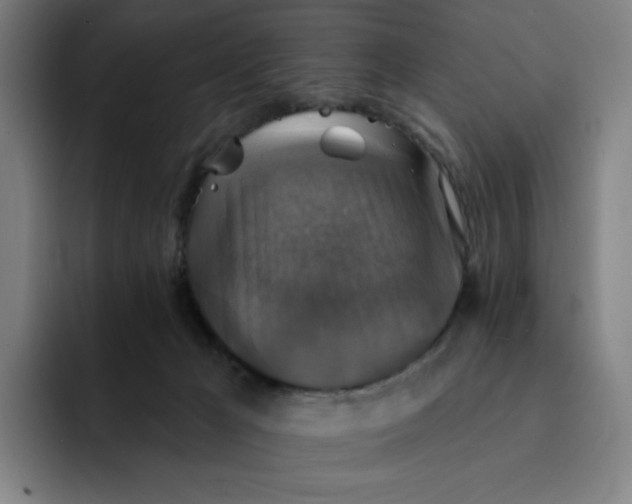 X0000091890029200709261648