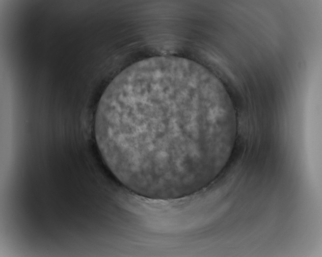 X0000091890030200709261648