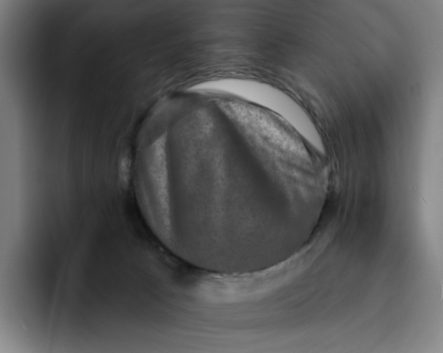 X0000091890033200709261648