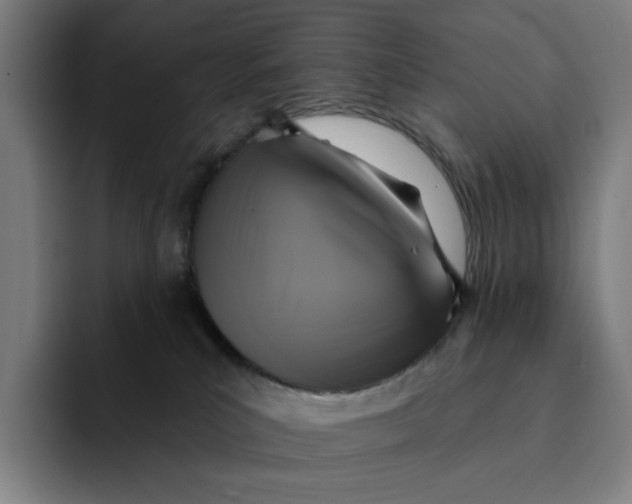 X0000091890039200709261647