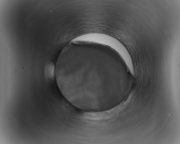 X0000091890041200709261647