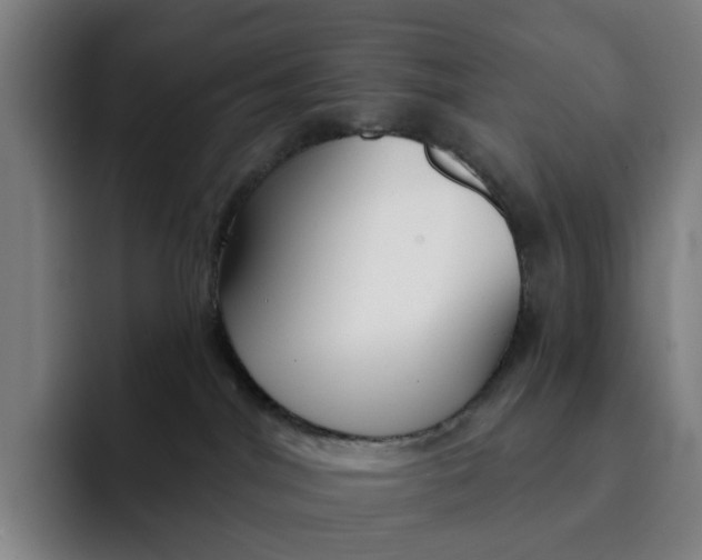X0000091890044200709261647
