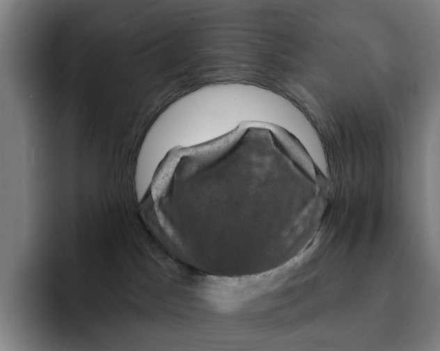 X0000091890045200709261647