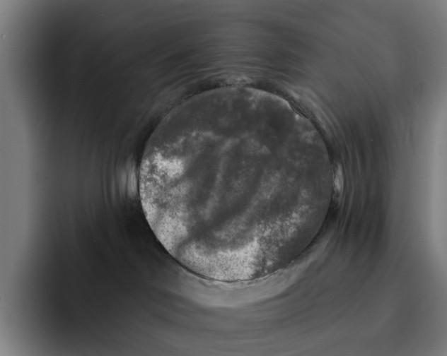 X0000091890046200709261647