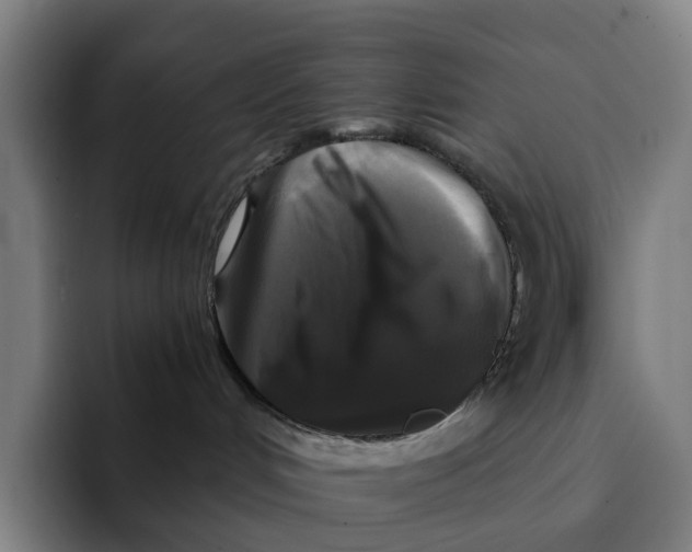 X0000091890048200709261647