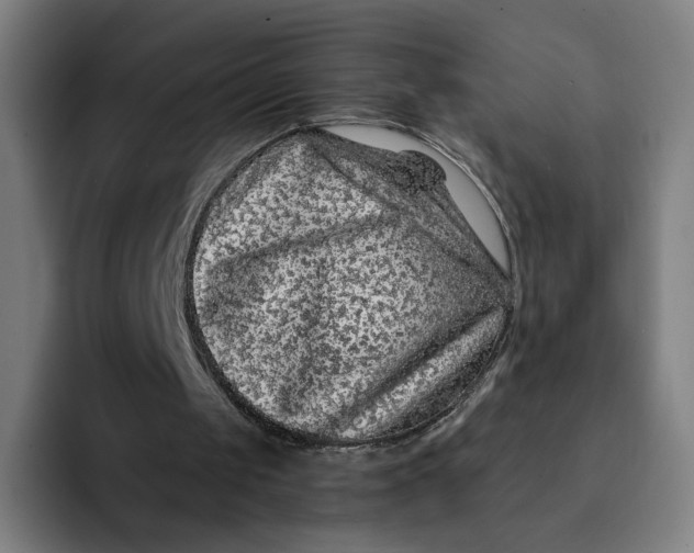 X0000091890049200709261647
