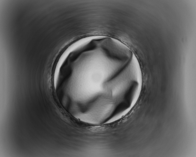 X0000091890050200709261647