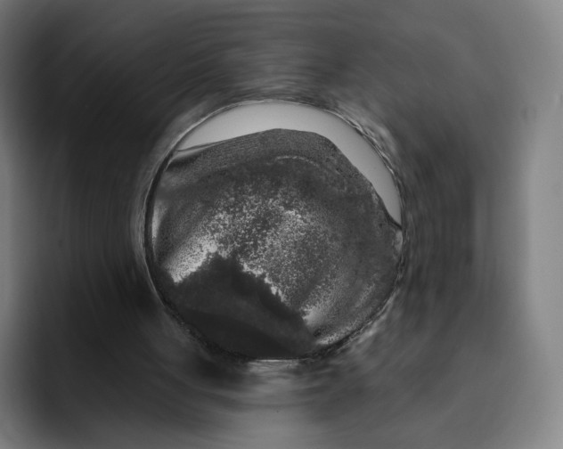 X0000091890051200709261647