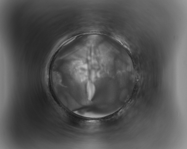 X0000091890053200709261647