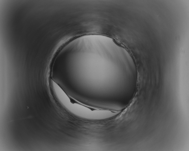 X0000091890054200709261647